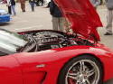 no mercy vette's Avatar