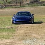 Speed Reed's Avatar