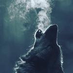 Good Wolf's Avatar
