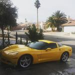 Canaryy's Avatar