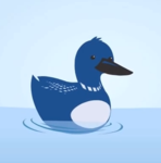 Loon's Avatar
