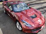 2017Stingray's Avatar
