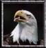 Gremlin_GT's Avatar