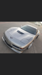 951vette's Avatar