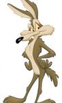 mr.koyote's Avatar