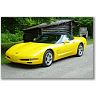 Vette Nuts Sister's Avatar