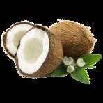 CoconutZ06's Avatar