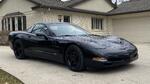 C5BlackBeaut's Avatar