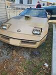GoldCocvette's Avatar