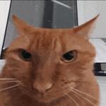 Jish's Avatar
