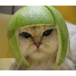 CULAYTR's Avatar