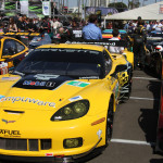 Long Beach Grand Prix as Experienced by CF Members