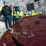 40th Anniversary Corvette Pulled from Sinkhole Paints Grimmer Picture 