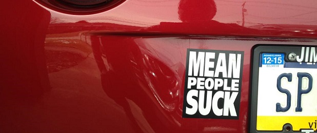 Would You Dare Put a Bumper Sticker on Your Corvette?