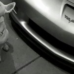 Corvette Forum's Facebook Fridays Goes to the Dogs