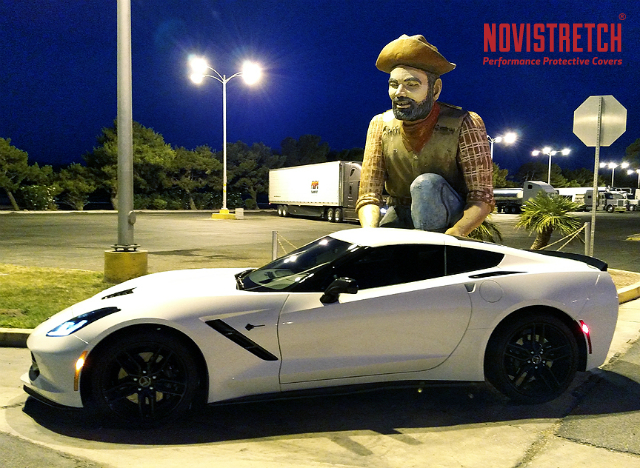 Corvette at roadside attraction