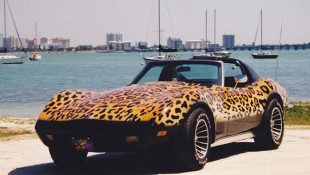 Cheetah Themed-Corvette Is a Wild Take on a C3