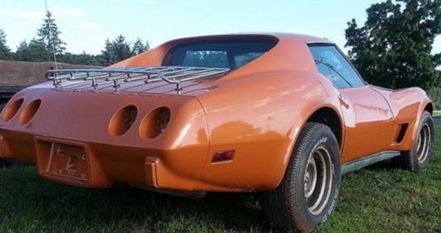 Couple Arrested for Letting Kids Ride in the Back of a C3 Corvette