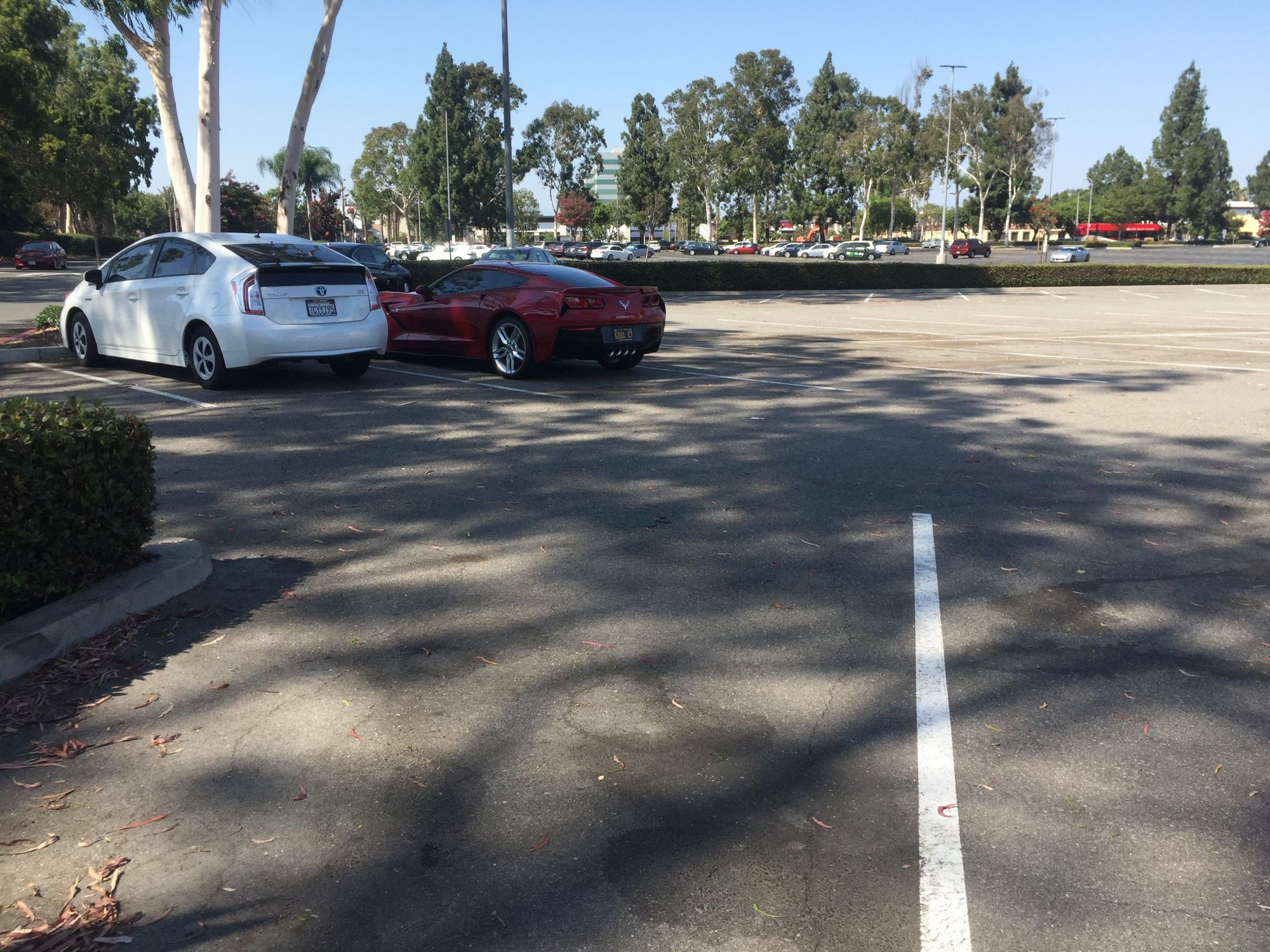 This Parking Phenomenon Needs to Stop
