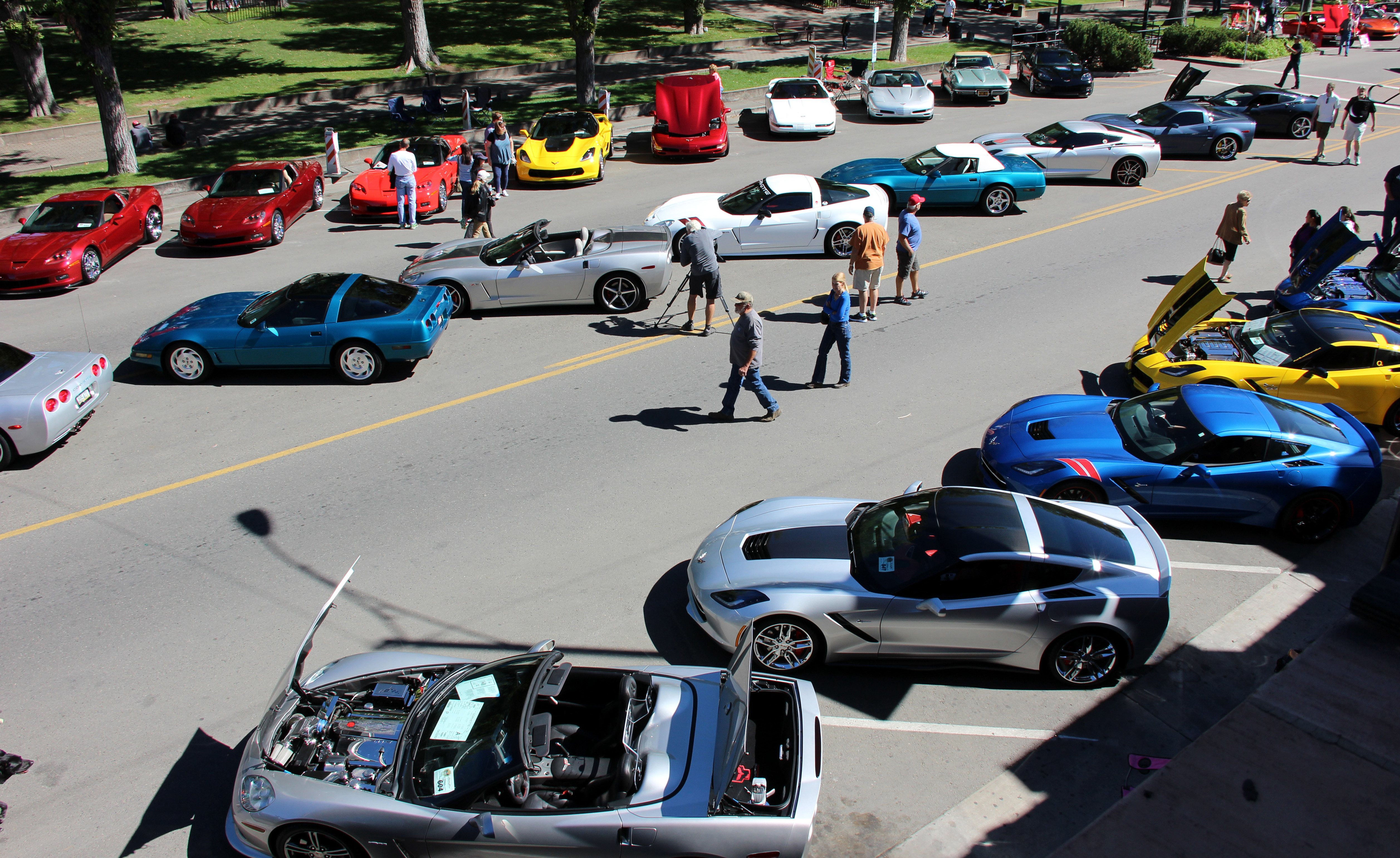 Corvette Car Show