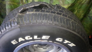 For the Love of Zora, Please Don’t Drive on 17-Year-Old Tires
