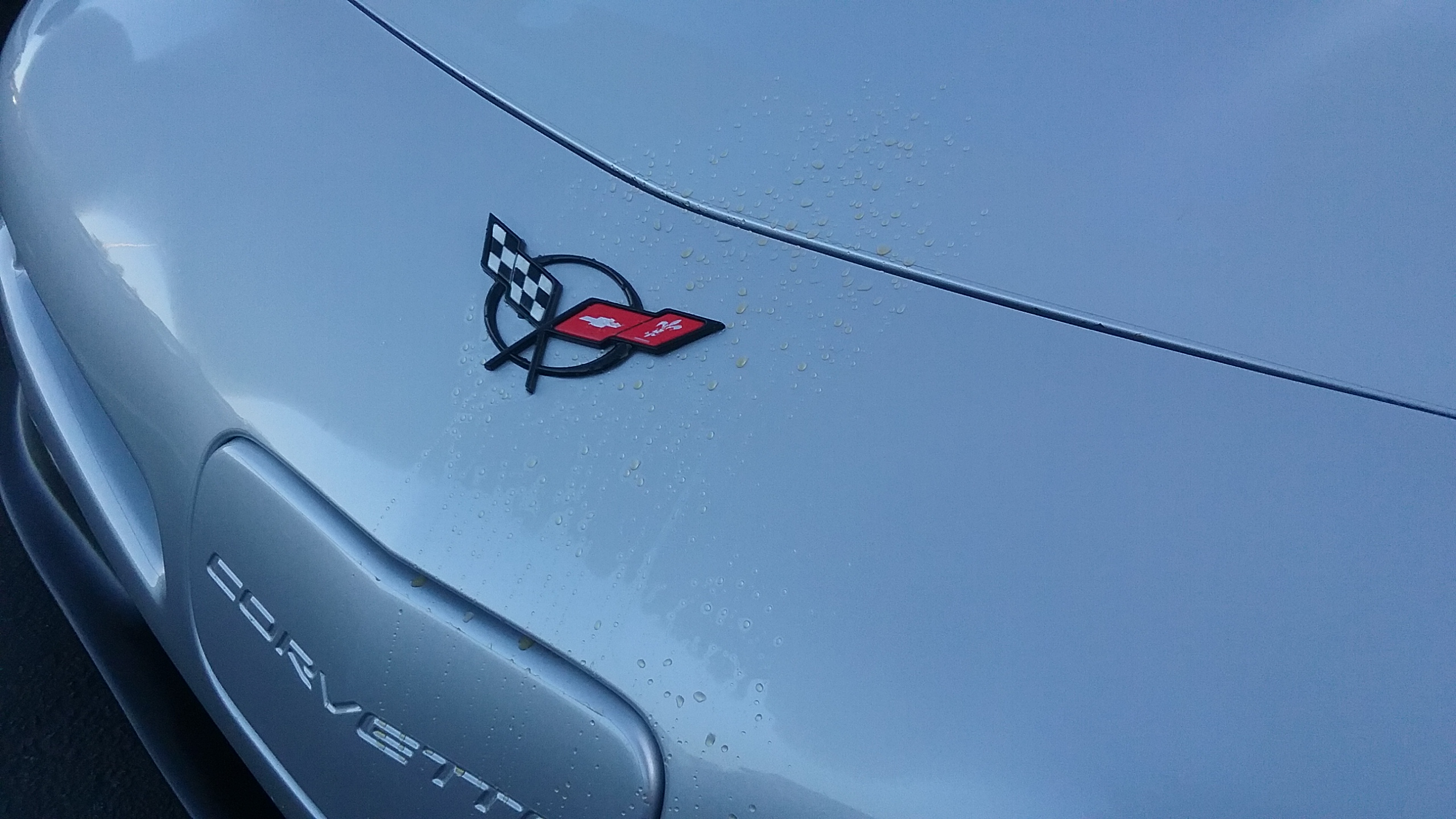<em>Corvette Forum</em> Member Finds Nasty Surprise