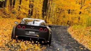 Corvettes Driving Through the Autumn Leaves
