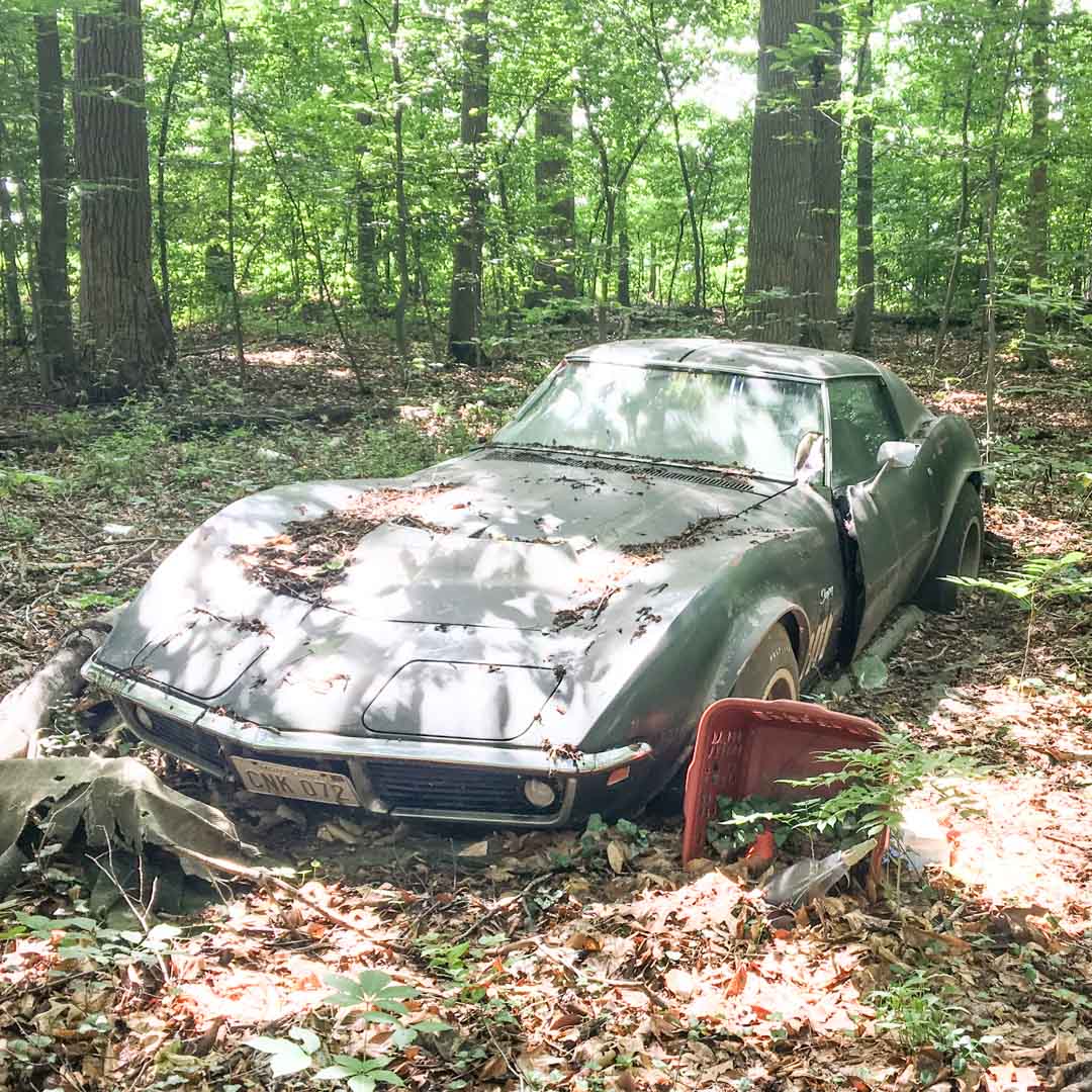 Is this ’69 Corvette a Dream...or a Nightmare?