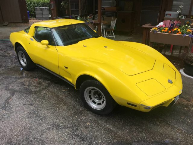 1978 25th Anniversary Corvette Stingray Can Be Your Rough and Tumble Daily Driver