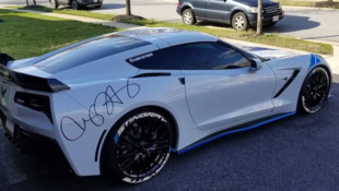 ‘Gabby’ the Stingray Proves C7 Love is Alive and Well
