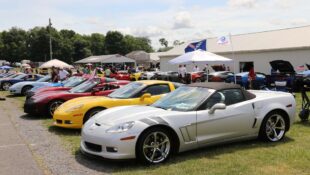 Corvettes