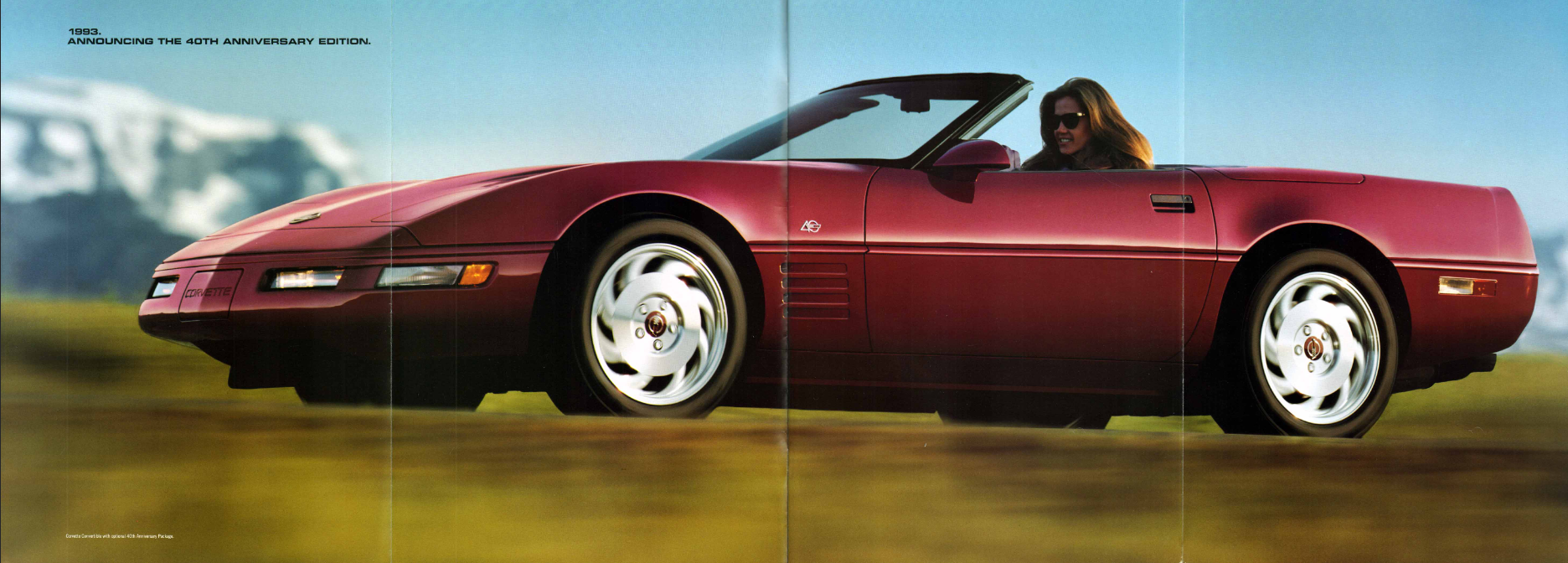 1993 Corvette brochure